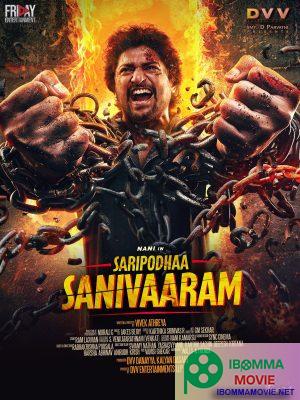 Saripodhaa Sanivaaram