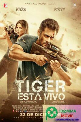 Tiger Zinda Hai